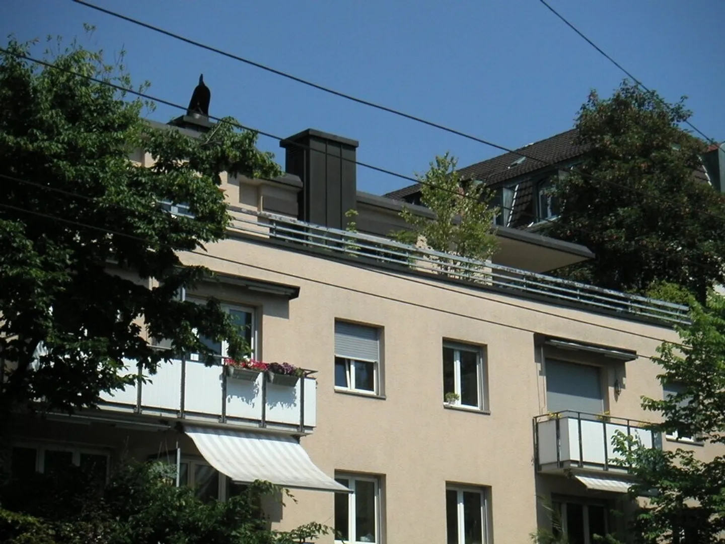 Charmantes Studio in Zürich - Foto 1 von 3