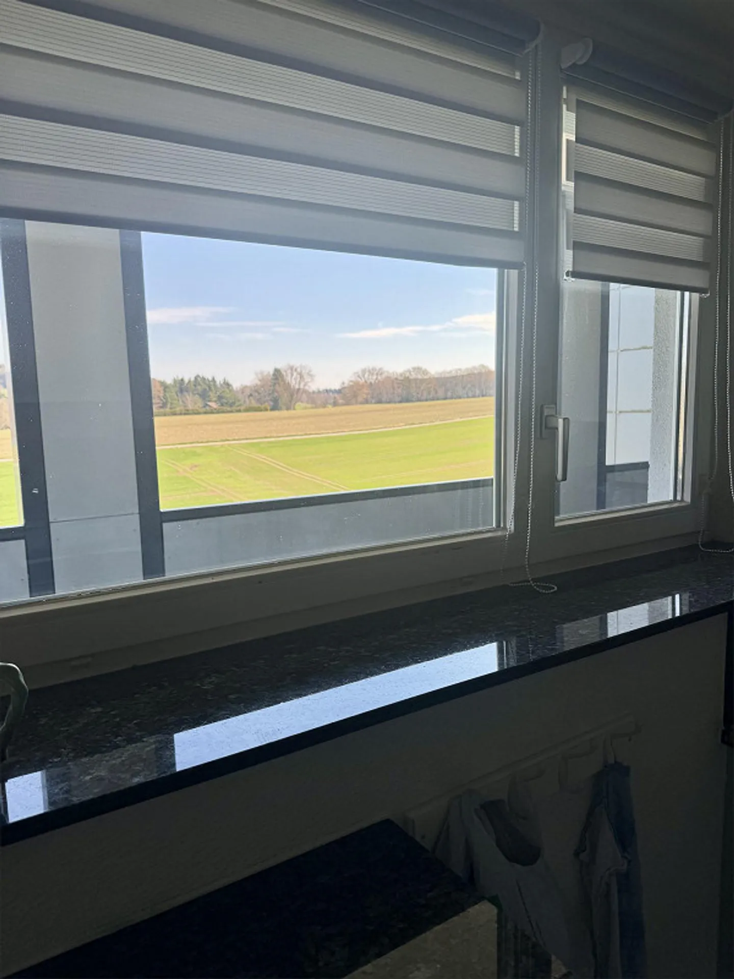 A partire dal 1° maggio appartamento di 3,5 stanze a Zollikerberg - Foto 3 di 16