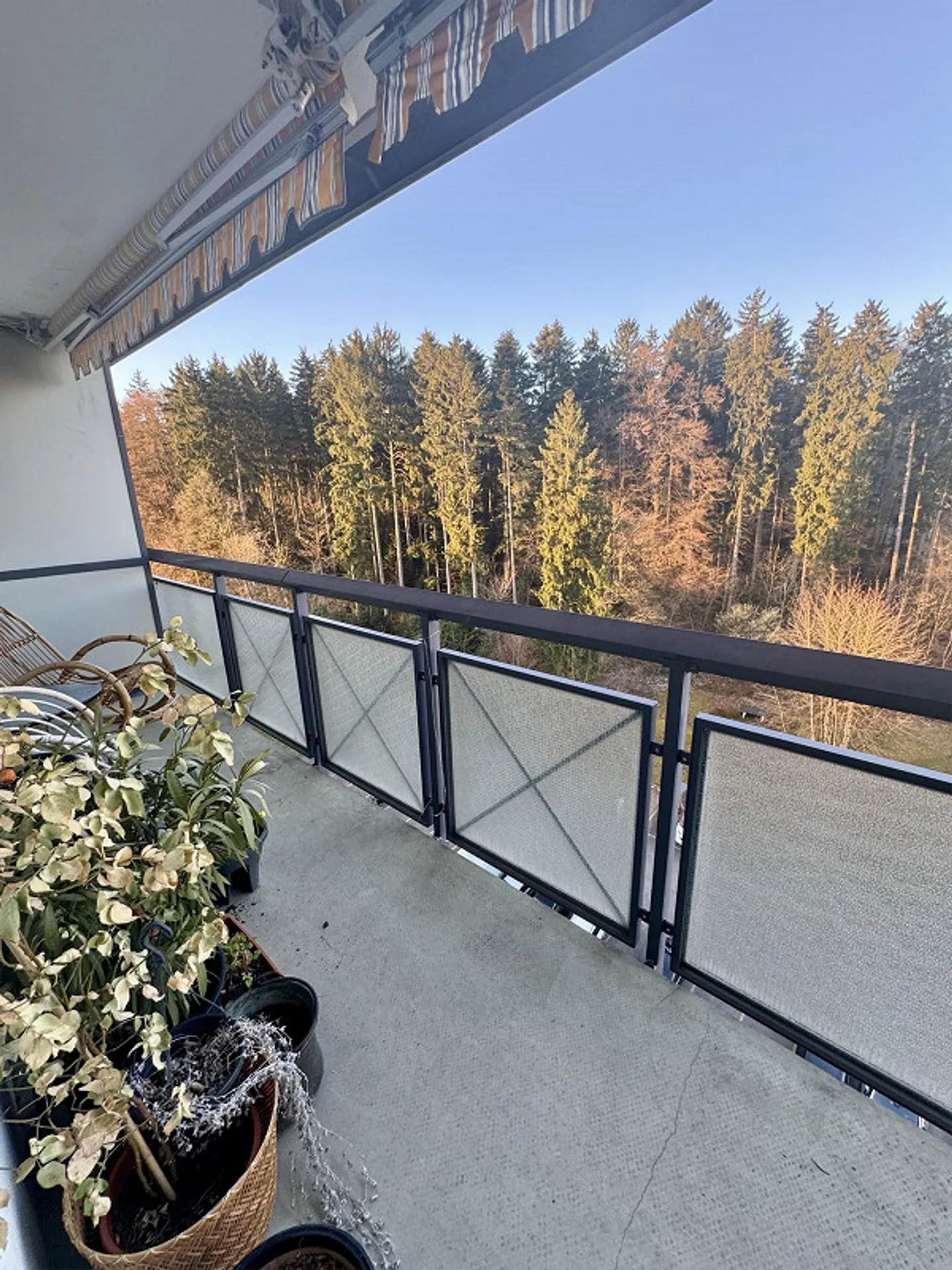 A partire dal 1° maggio appartamento di 3,5 stanze a Zollikerberg - Foto 9 di 16