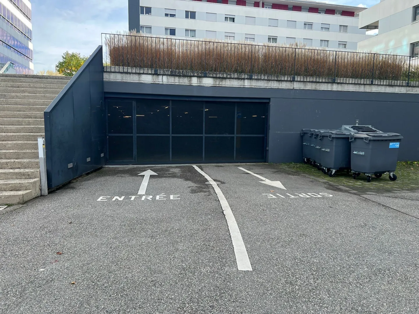 Open space - Photo 3 of 3