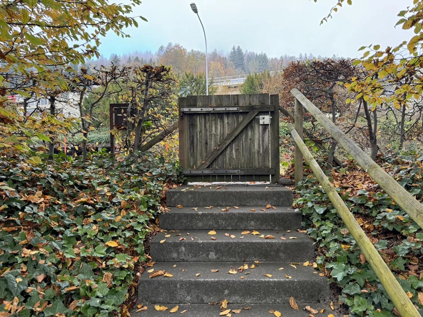 Beau logement au lac d'Ägeri  Style, détente et qualité de vie - Photo 29 sur 35