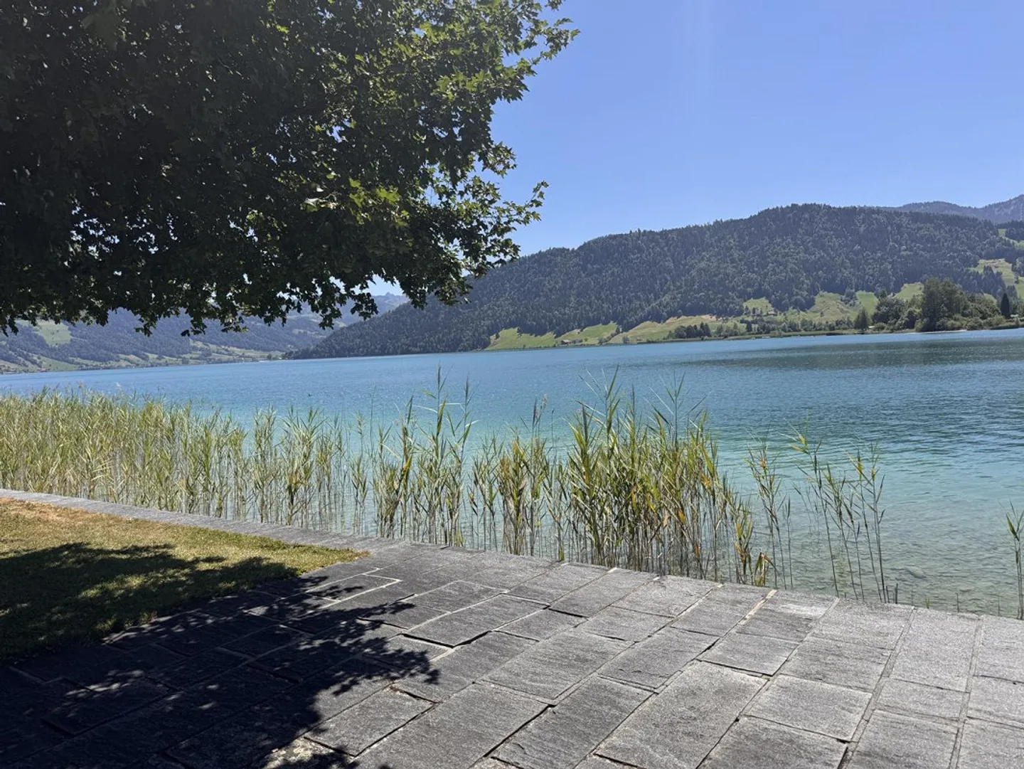 Beau logement au lac d'Ägeri  Style, détente et qualité de vie - Photo 35 sur 35