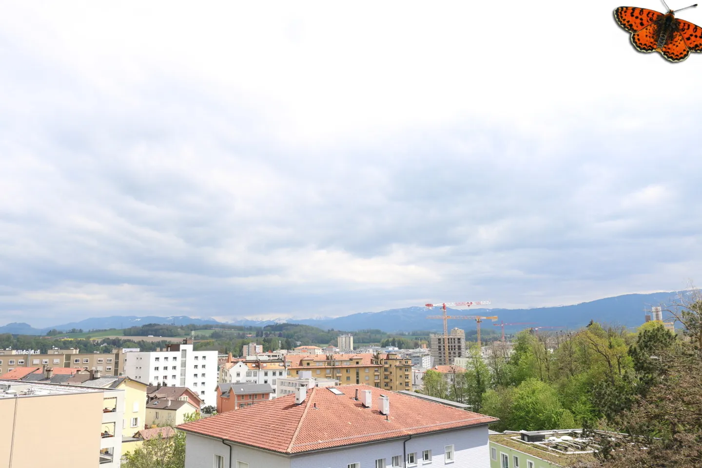 6 ROOM APARTMENT - With a balcony! - Photo 12 of 12