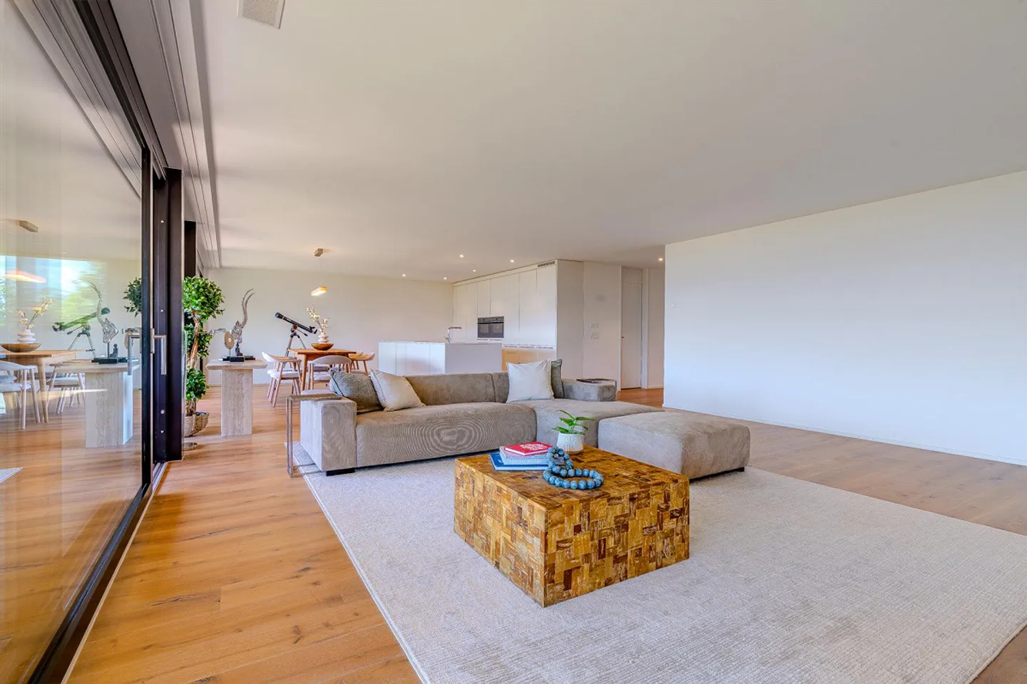 5.5-room terrace apartment with stunning garden & view - Photo 3 of 13