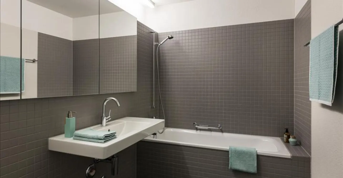 Spacious Modern Apartment - RENT WITHOUT DEPOSIT - Photo 8 of 9