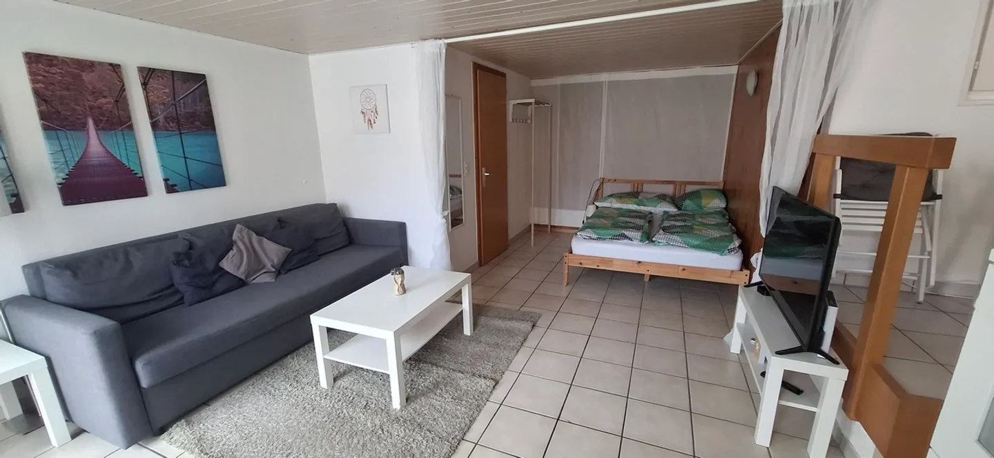 Appartamento arredato 1.5 stanze - Foto 7 di 7