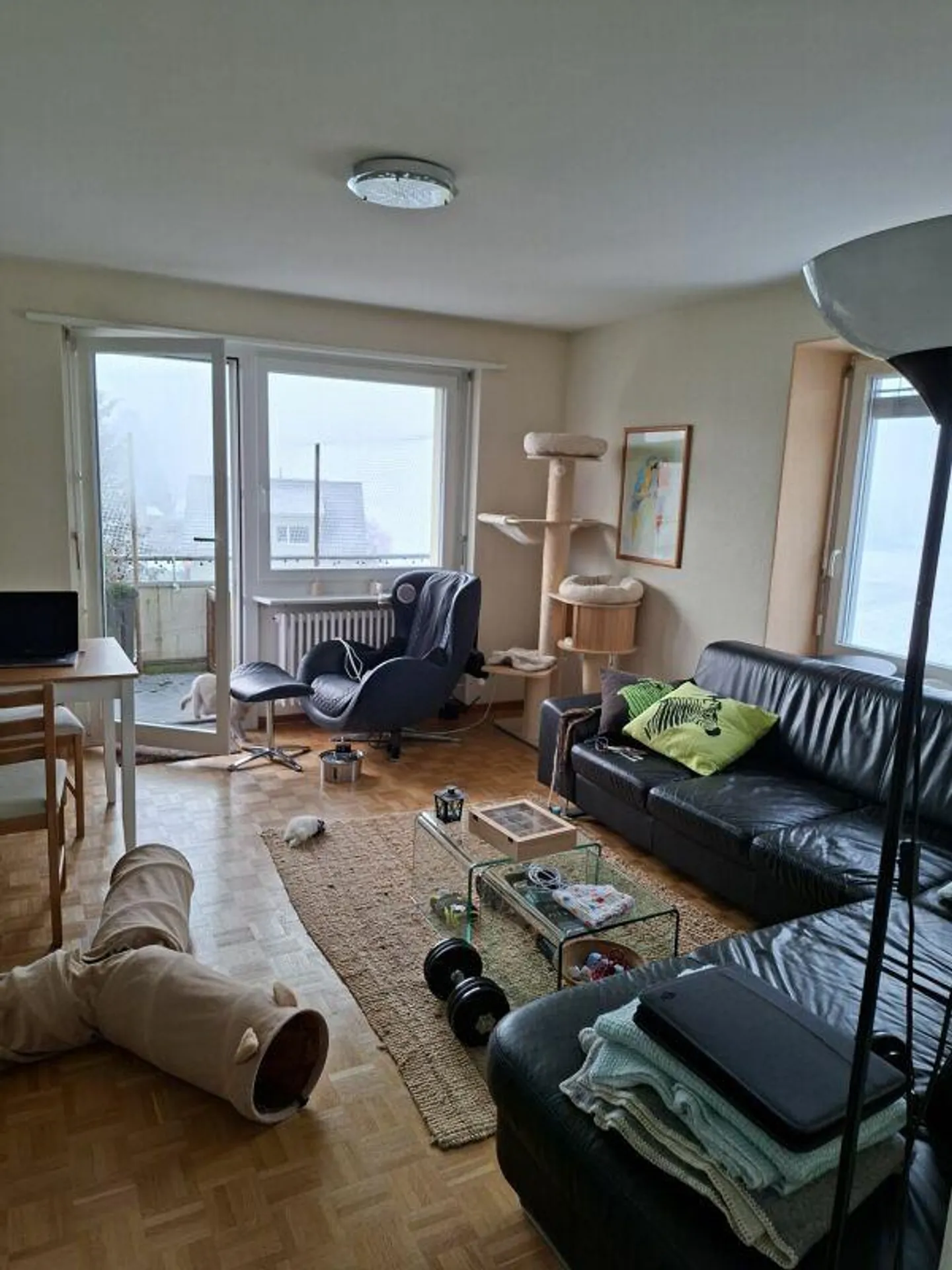 Vue sur le vert - Photo 3 sur 7