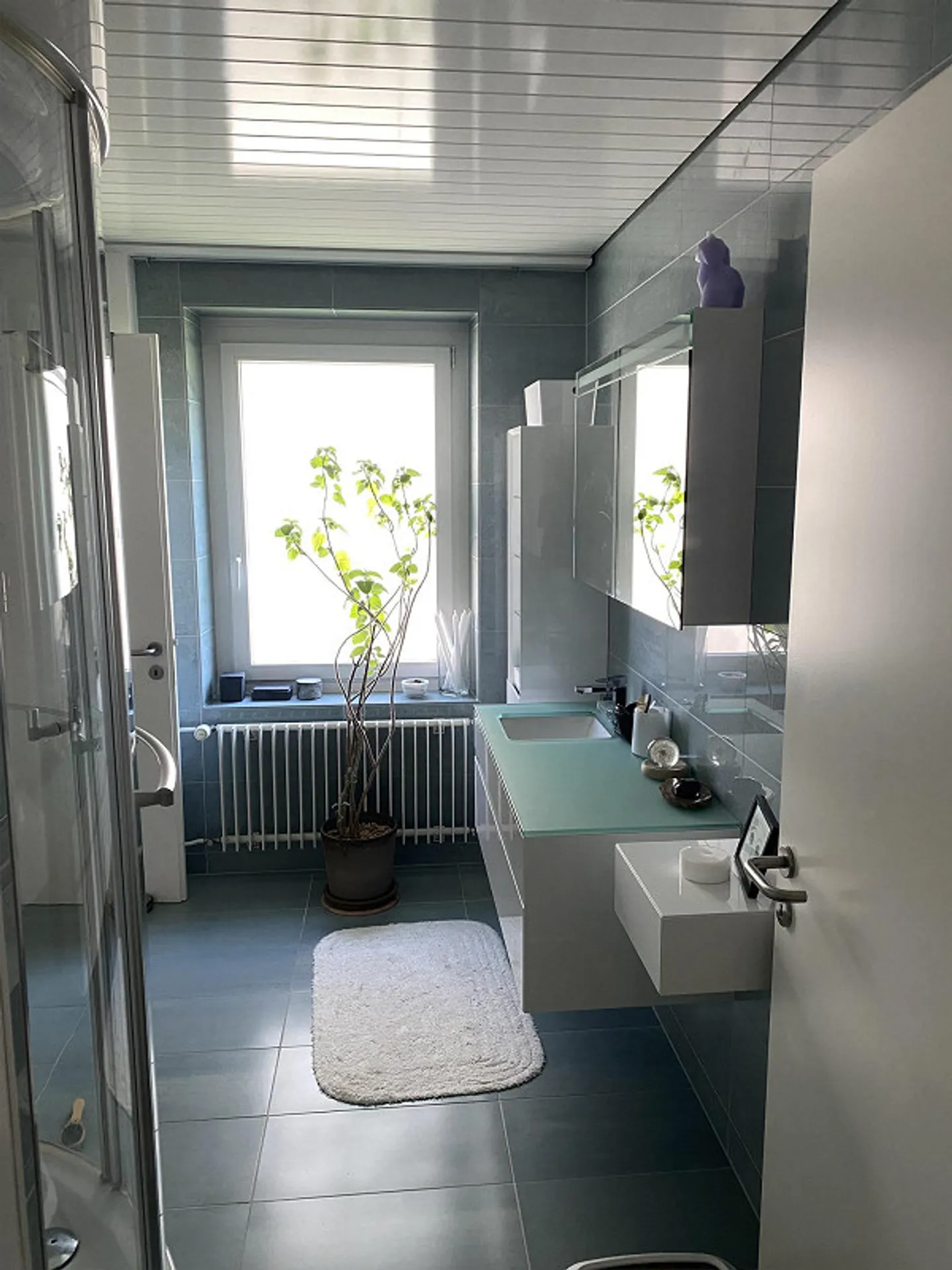 Bel appartement de 3,5 pièces à louer à Saint-Gall - Photo 5 sur 10