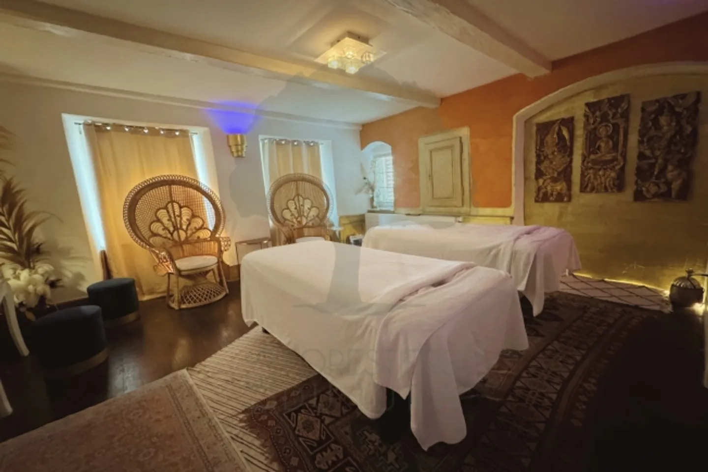 IN VENDITA - PROPRIETÀ ECCEZIONALE NEL CUORE DELL'AJOIE - Foto 5 di 14