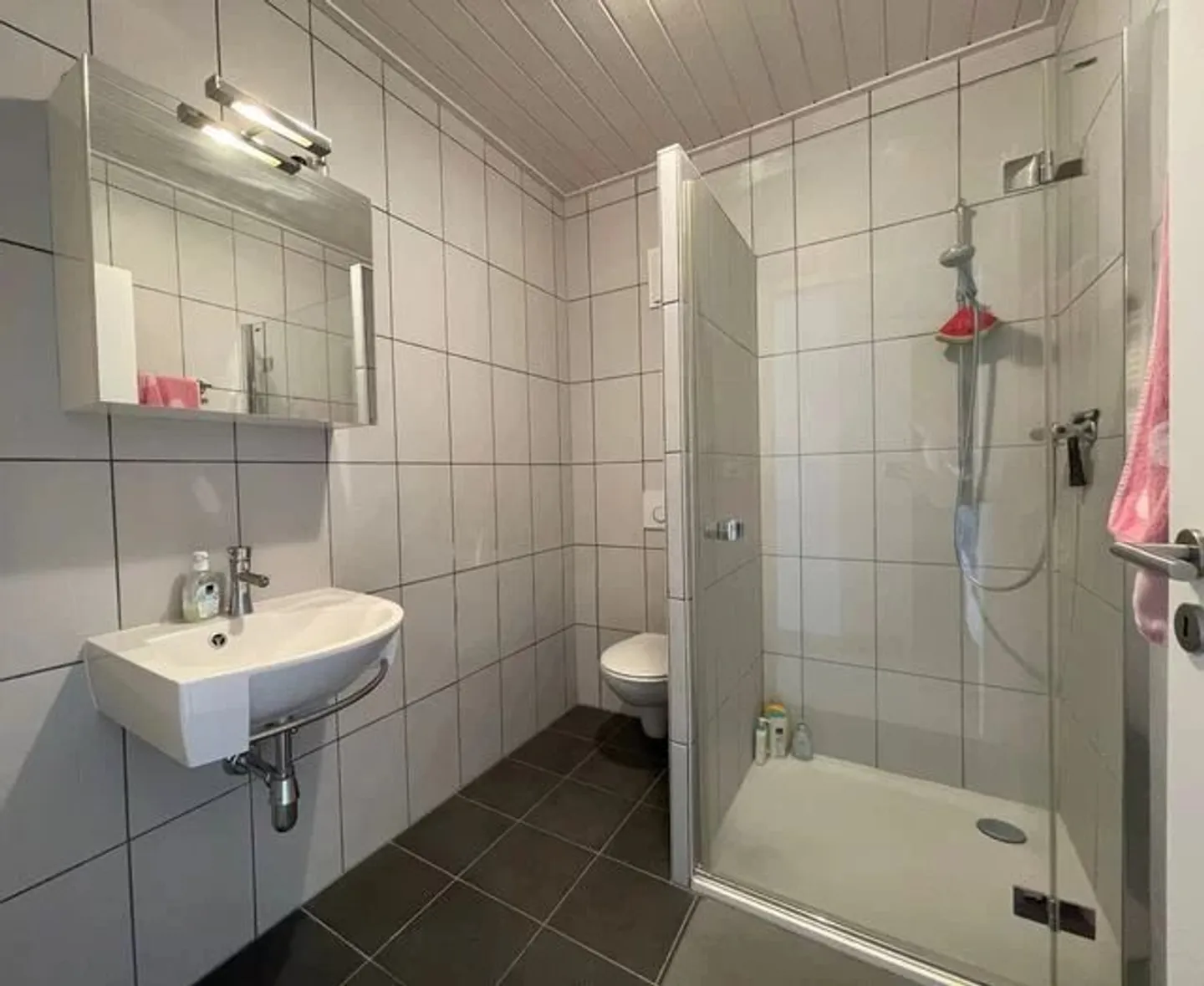Appartement trois pièces sous le toit - Photo 10 sur 13