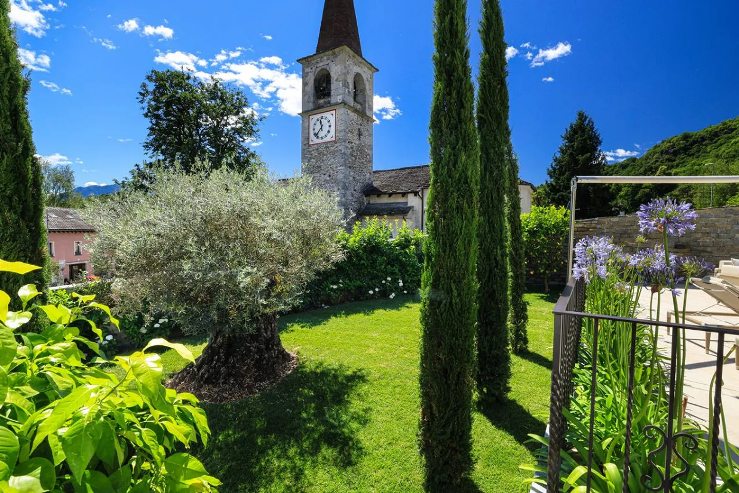 L'Olive Millénaire | TI - Photo 16 sur 19