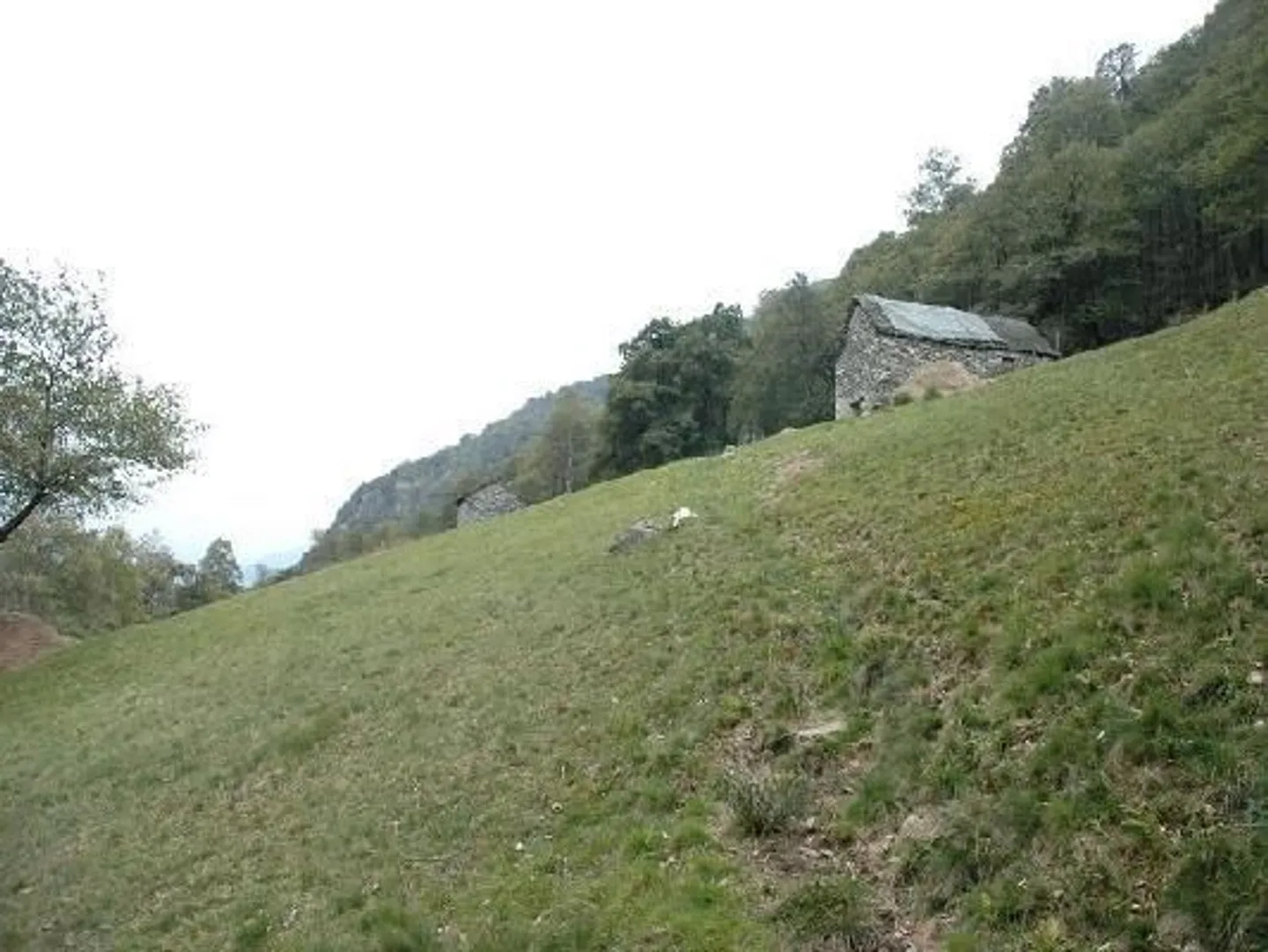 Rustic to be developed with 8573 m2 of meadow land - Photo 2 of 6