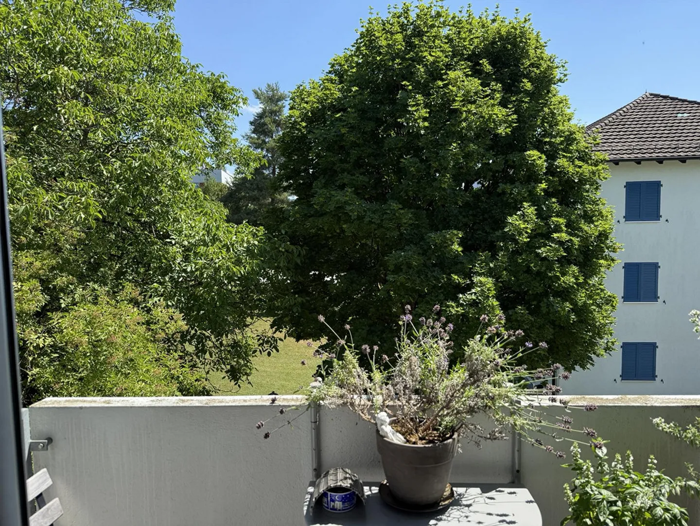 Belle appartement lumineux de 3 pièces cherche nouveaux résidents - Photo 2 sur 13