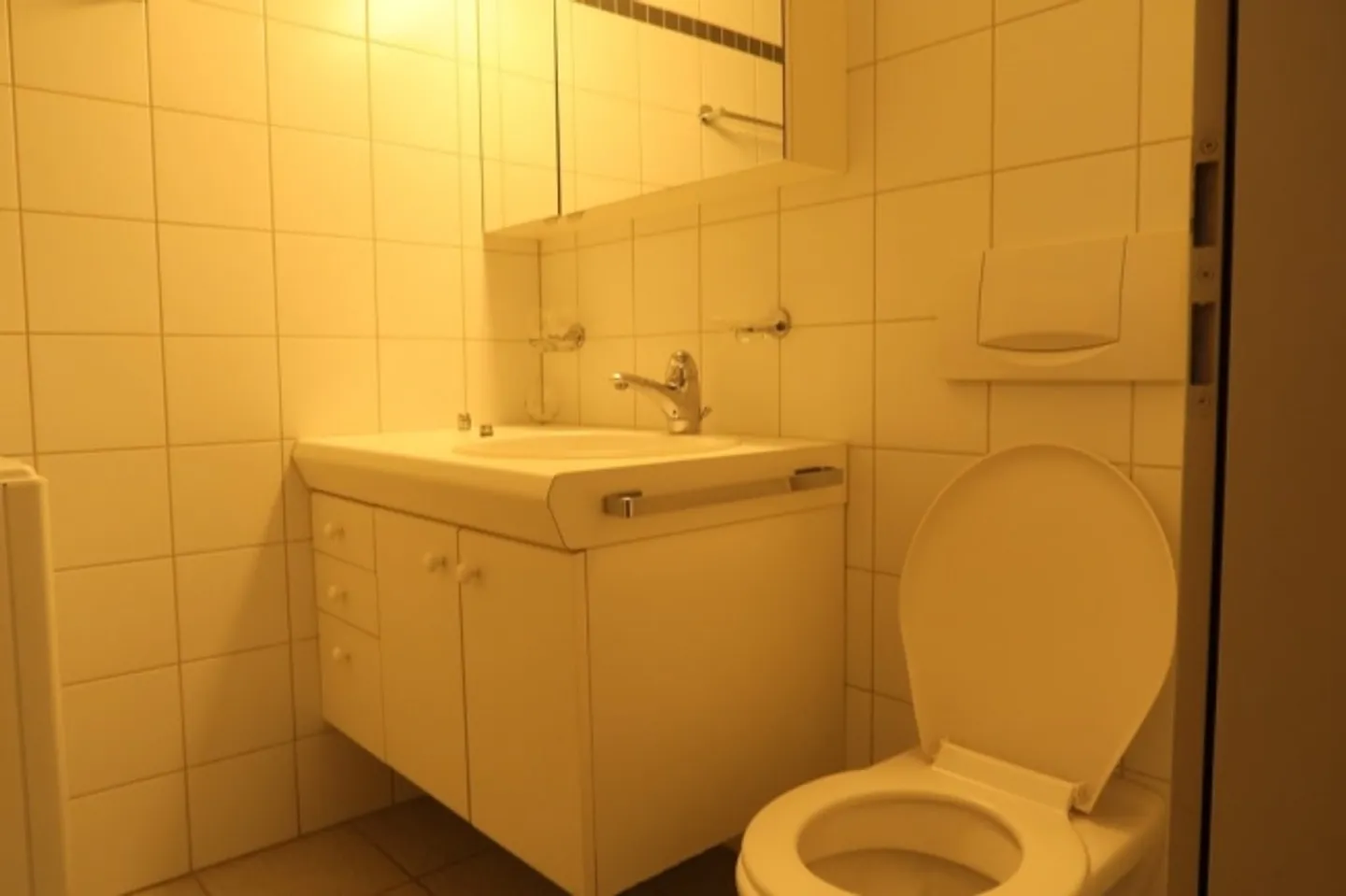 Appartement sous les combles confortable dans la vieille ville de Berne - Photo 4 sur 5