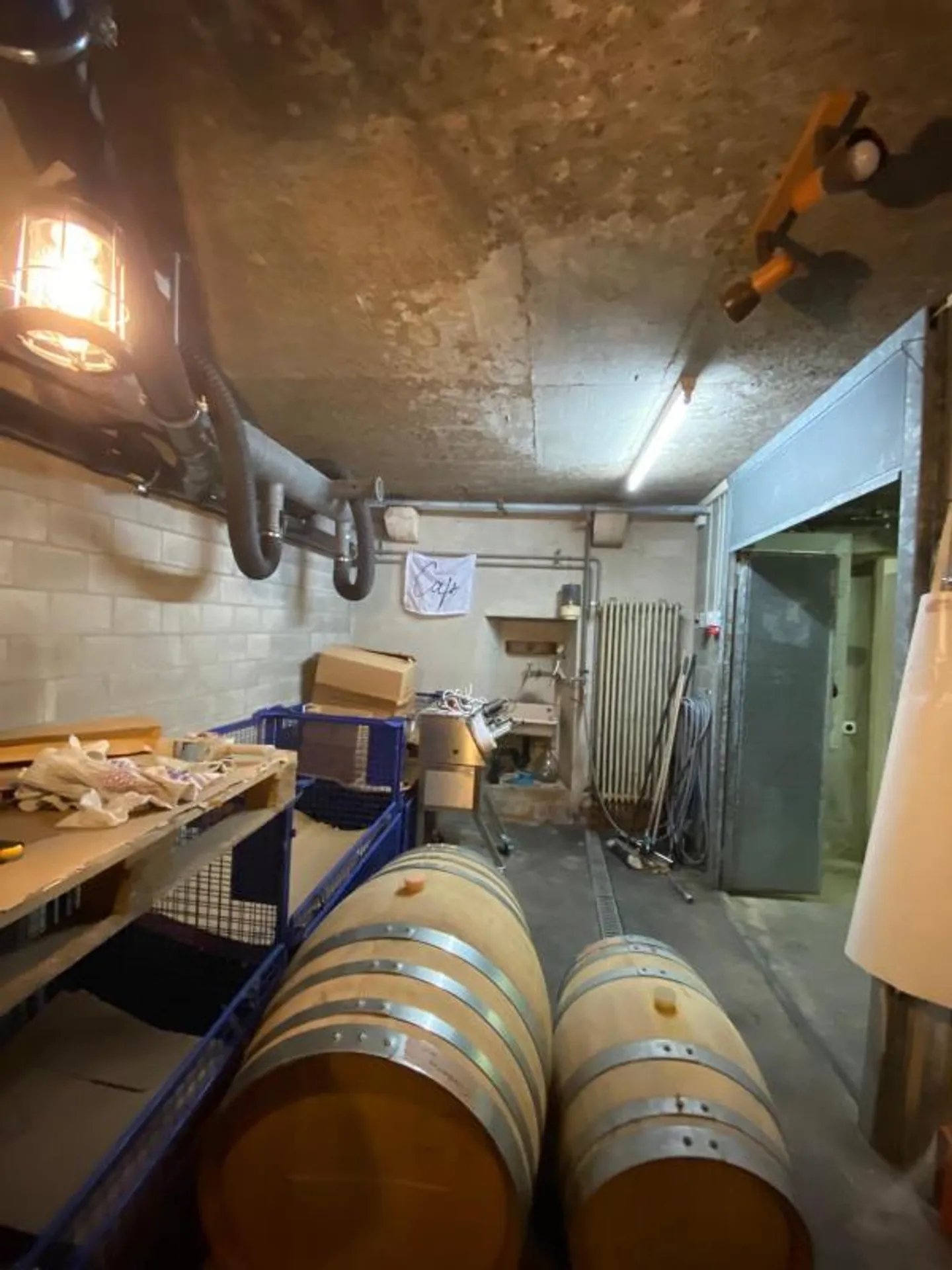Comparto cantina - Foto 3 di 4