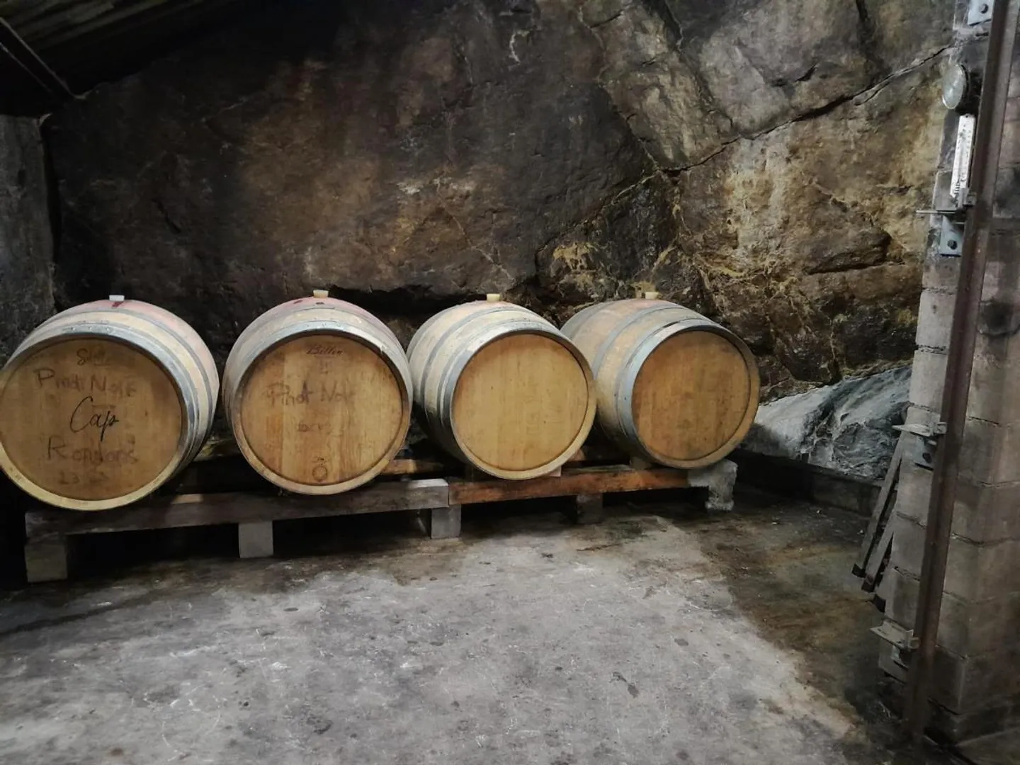 Comparto cantina - Foto 2 di 4