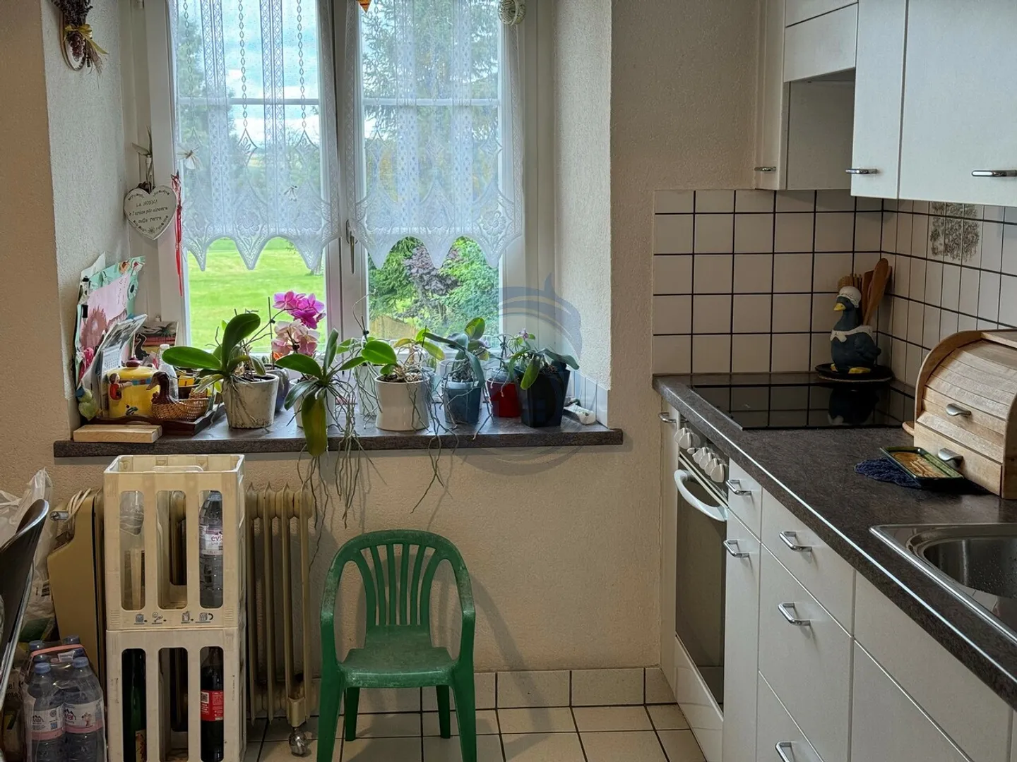 Casa singola in affitto - Foto 5 di 19