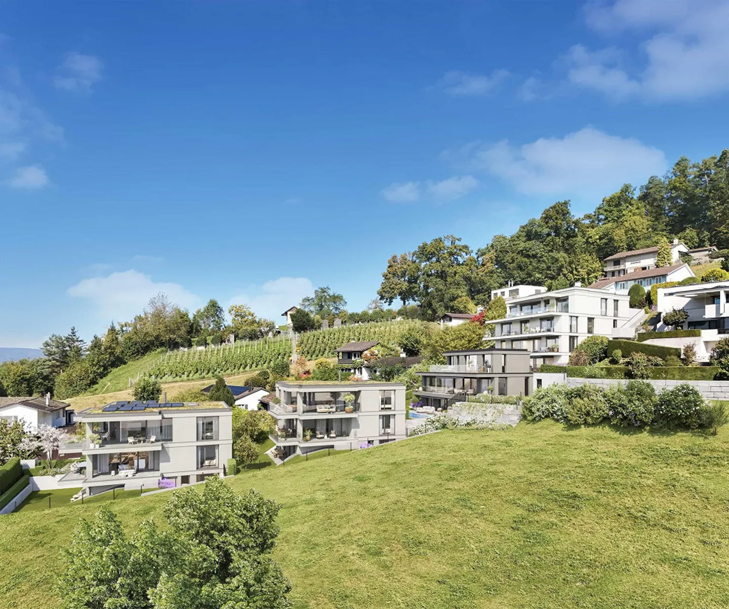 Nuovo ARIA: Elegante appartamento di 5,5 stanze con vista panoramica - Foto 3 di 4