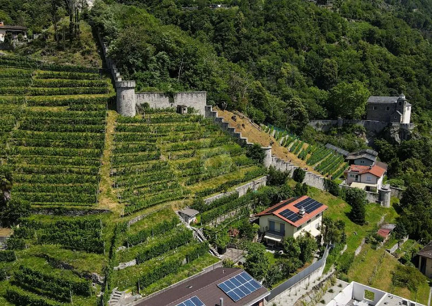 Cantina con vigneti a Sementina - Foto 2 di 6
