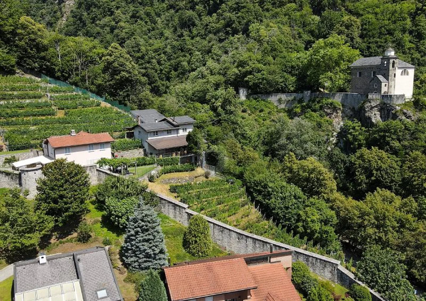 Cantina con vigneti a Sementina - Foto 3 di 6