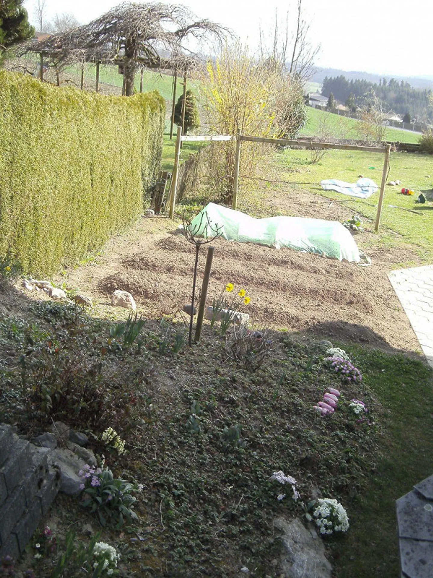 Appartamento 4.5 locali in una casa bifamiliare in una posizione da sogno - Foto 4 di 12