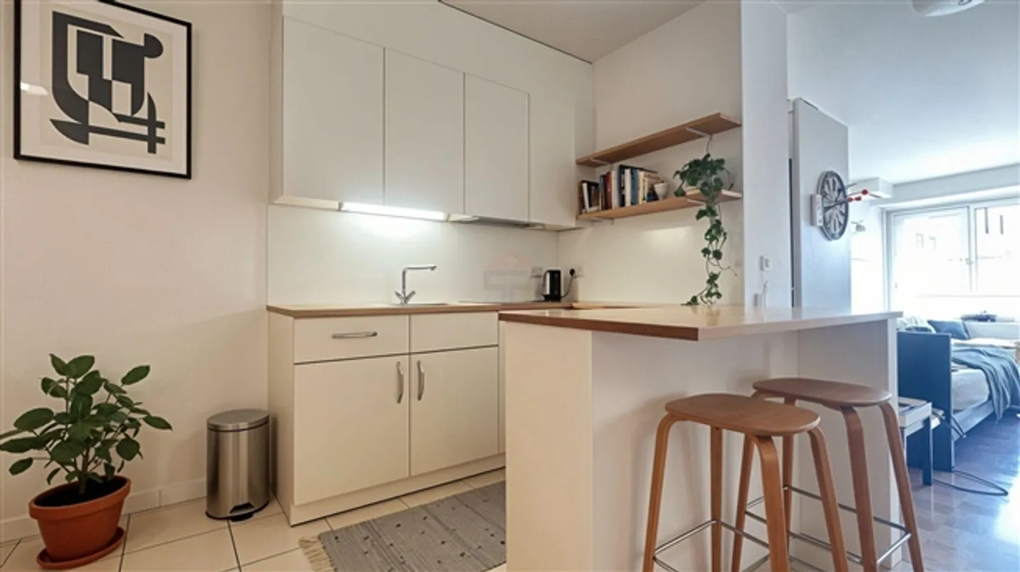 Charming Studio, 44 m² - Photo 2 of 3