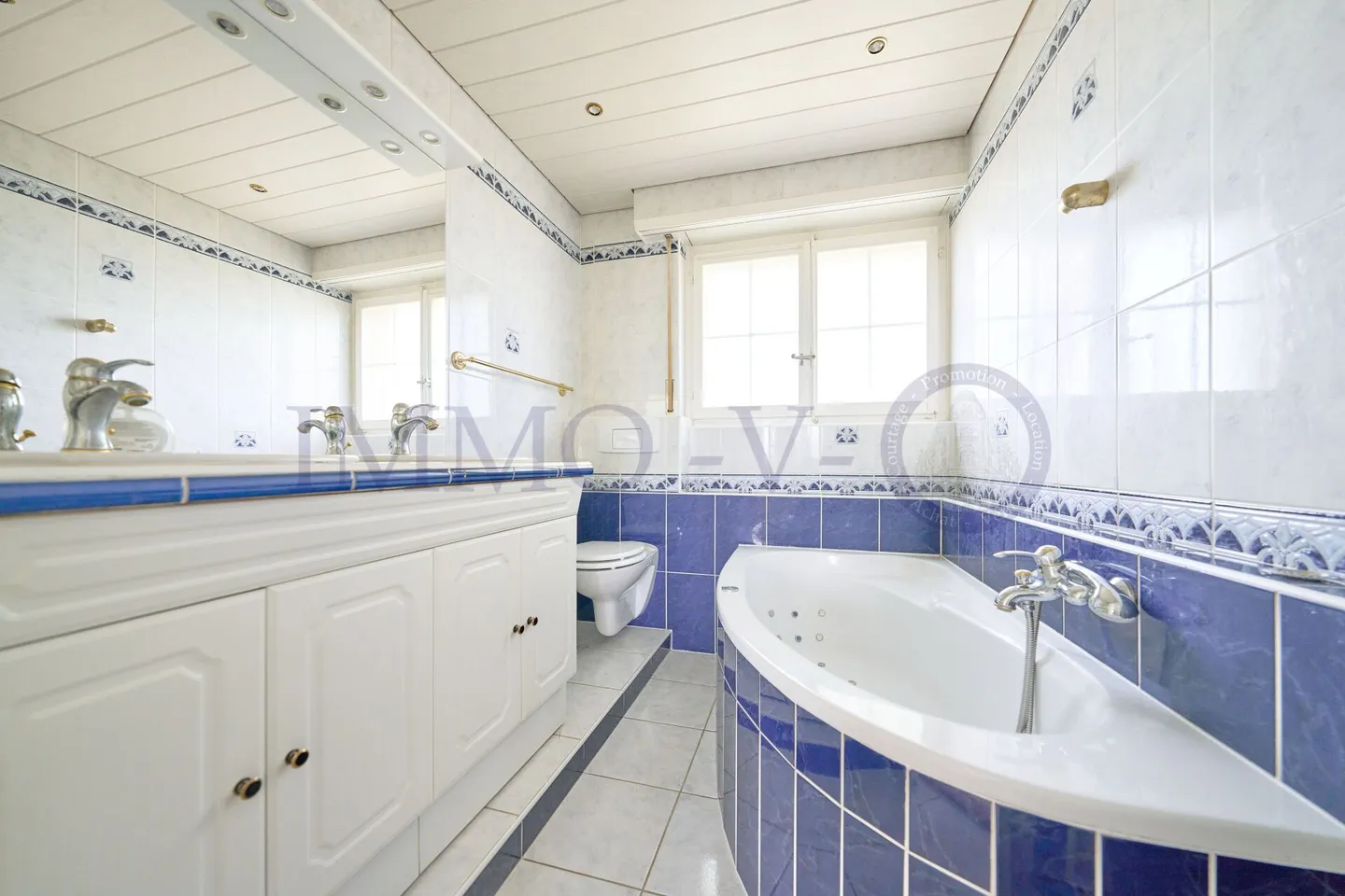 SPACIEUSE AVEC JARDIN, PISCINE ET VUE LAC - Photo 16 sur 16