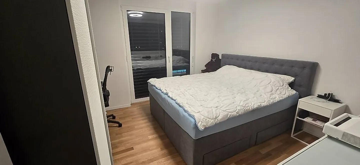 Appartamento 2.5 stanze - Foto 4 di 5