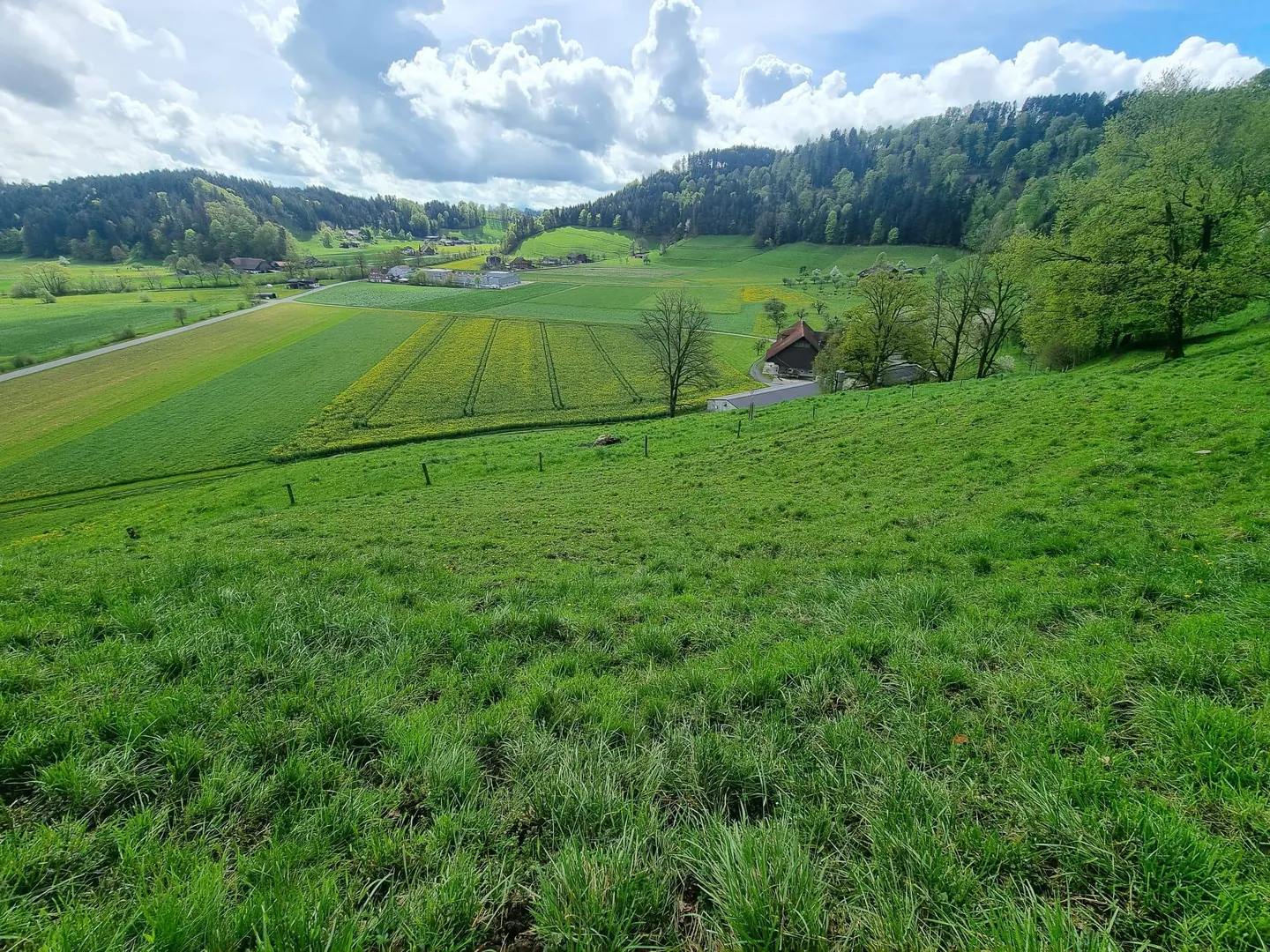 Modern Family Home - Photo 1 of 7