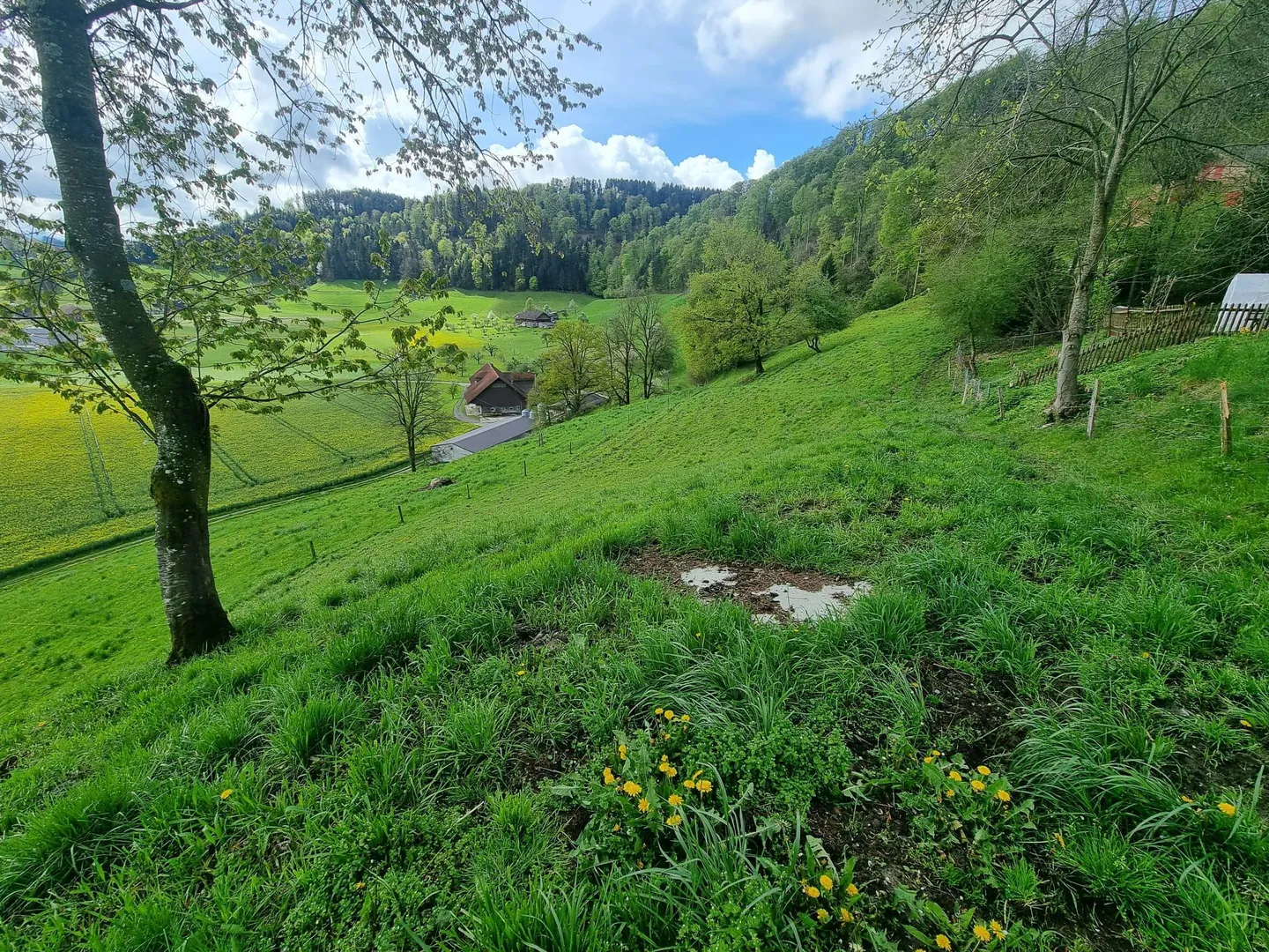 Modern Family Home - Photo 6 of 7