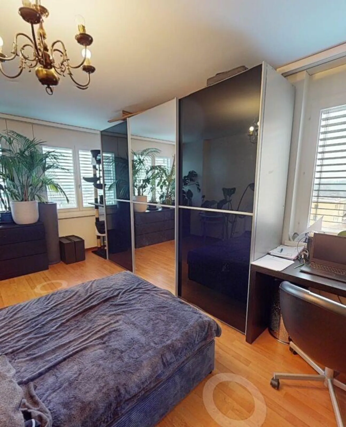 Modernes Duplex in Root - Foto 7 von 13