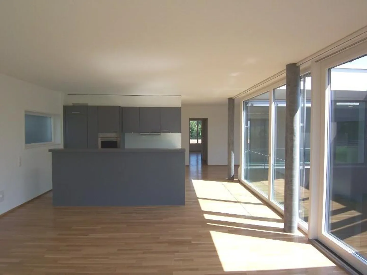 Appartamento luminoso e moderno di 5,5 stanze vicino alla riserva naturale - Foto 3 di 8