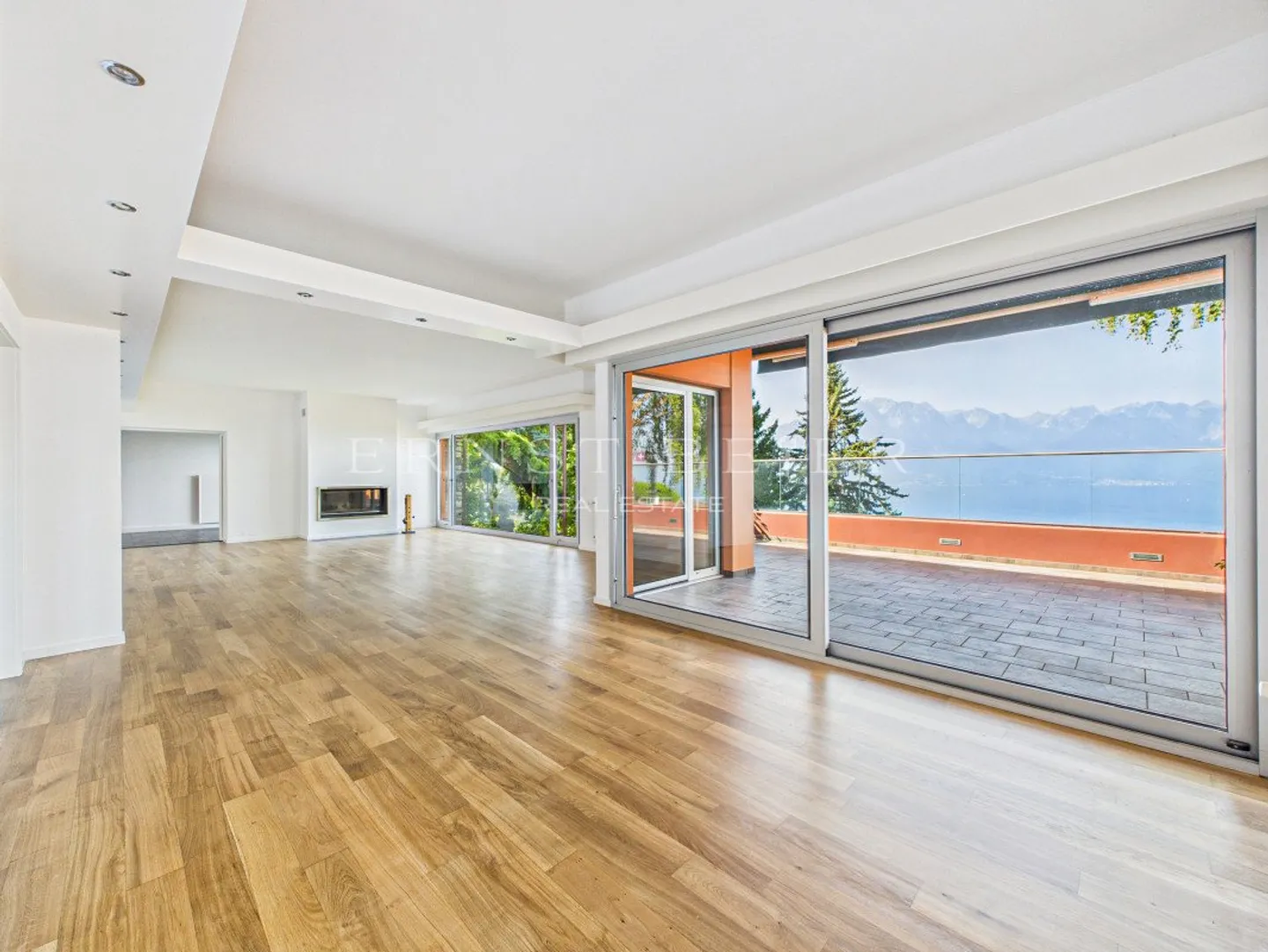 Residenza eccezionale con giardino paesaggistico e panorama sul Lago di Ginevra - Foto 3 di 13