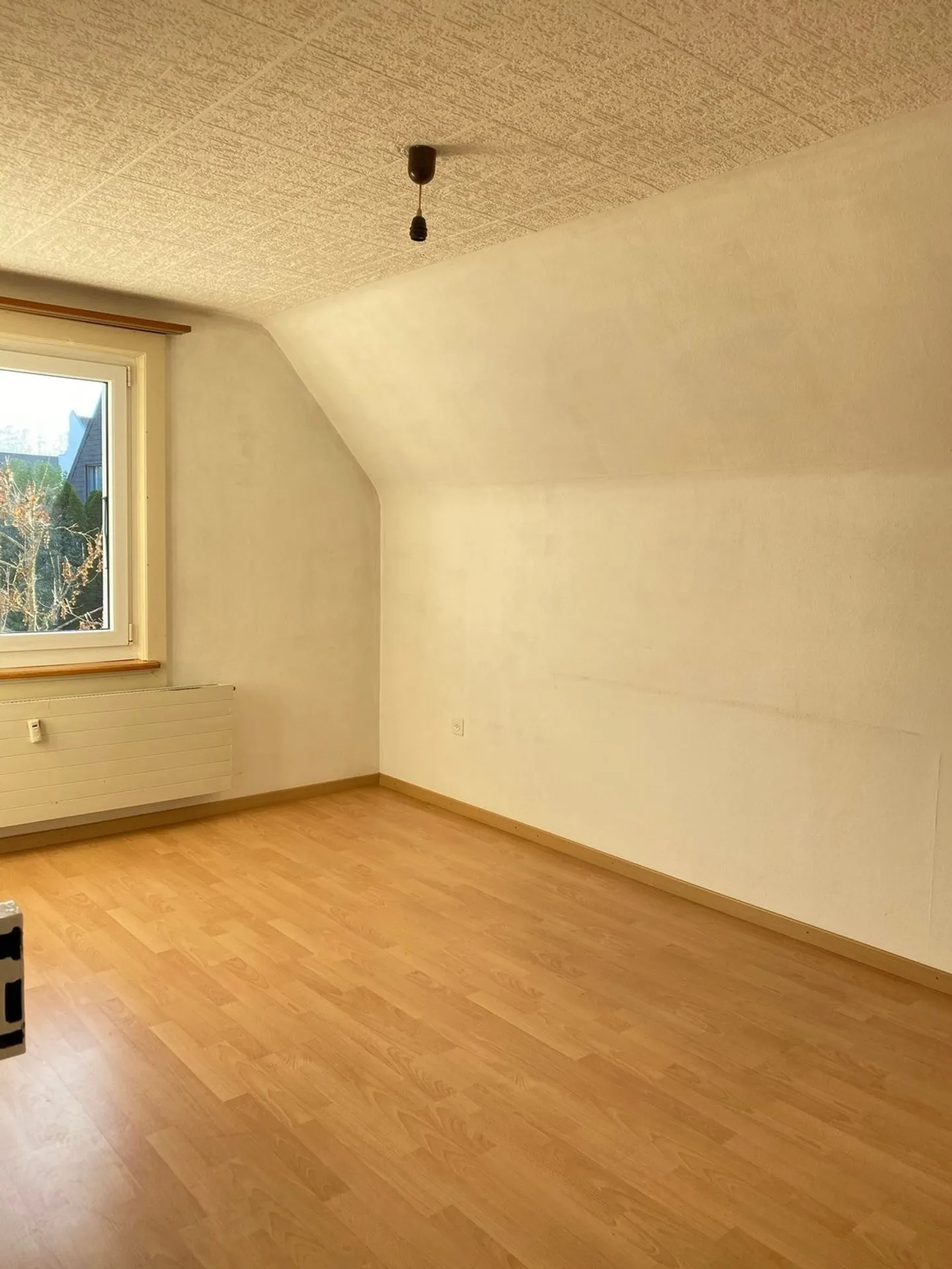 Charmante 4.5-Zimmer-Dachwohnung in ruhiger Lage von Zwingen - Foto 12 von 13