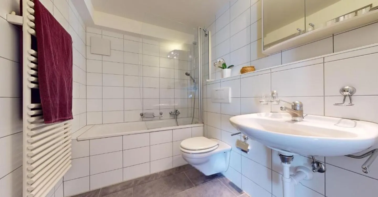 Appartamento duplex nel cuore di Soletta - Foto 8 di 9
