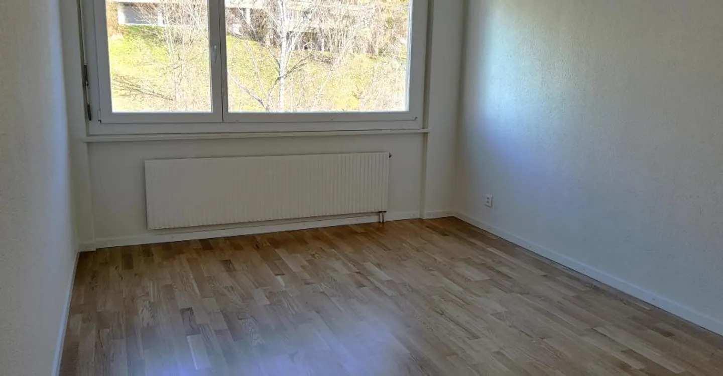 3.5-room apartment under renovation - View of the lake and the Alps - Photo 3 of 6