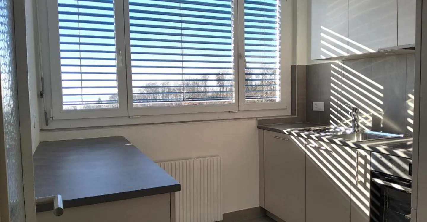 3.5-room apartment under renovation - View of the lake and the Alps - Photo 5 of 6