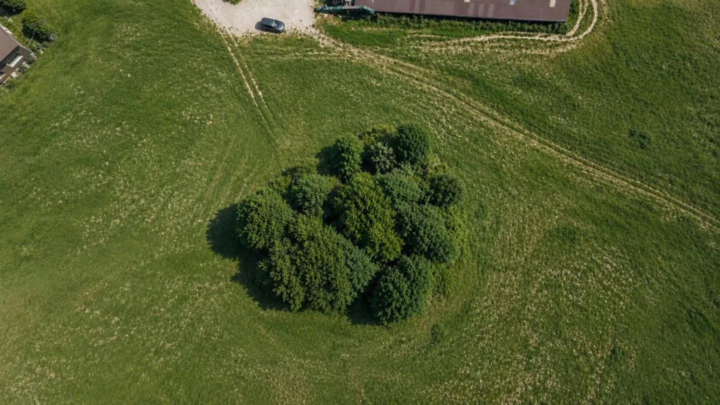 Emplacement ensoleillé, vue de rêve et beaucoup de potentiel à Speicher - Photo 4 sur 4