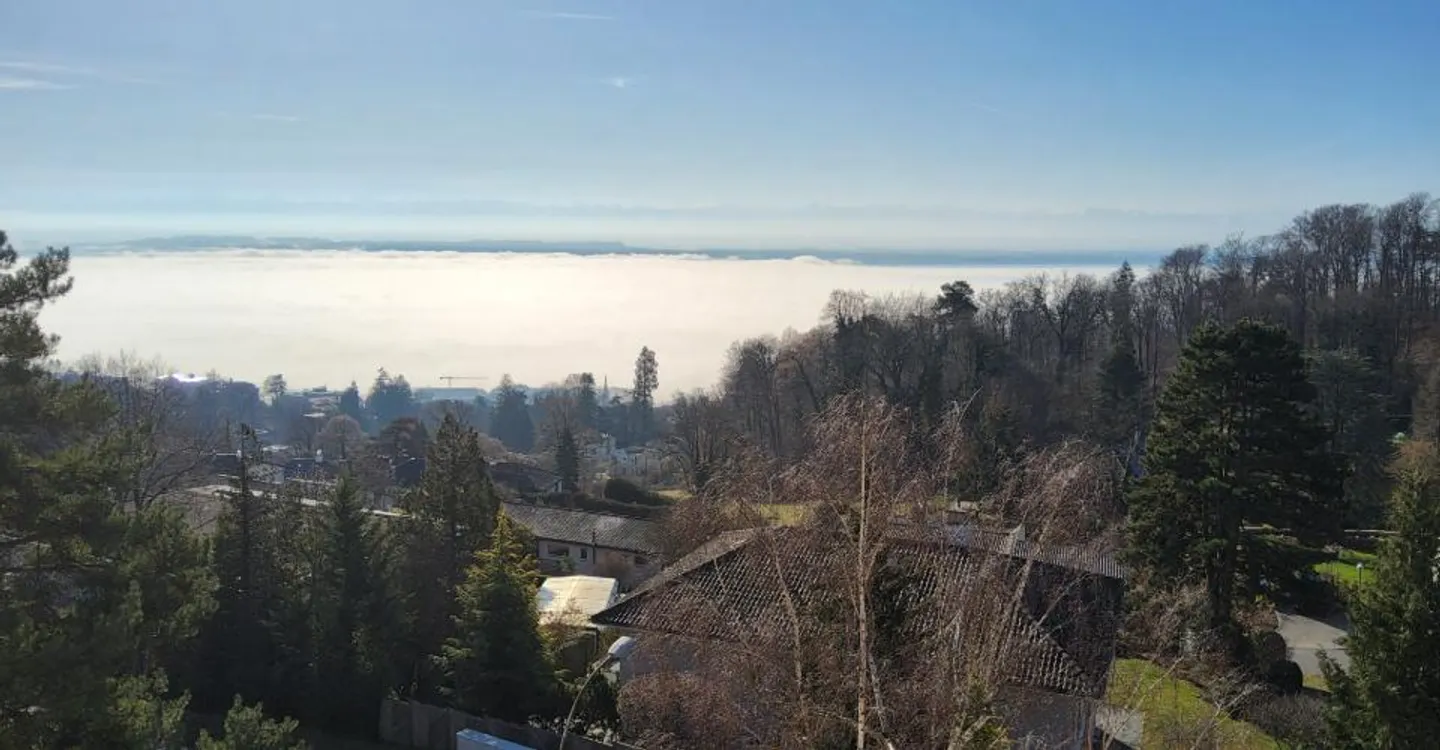 3.5-room apartment under renovation - View of the lake and the Alps - Photo 6 of 6