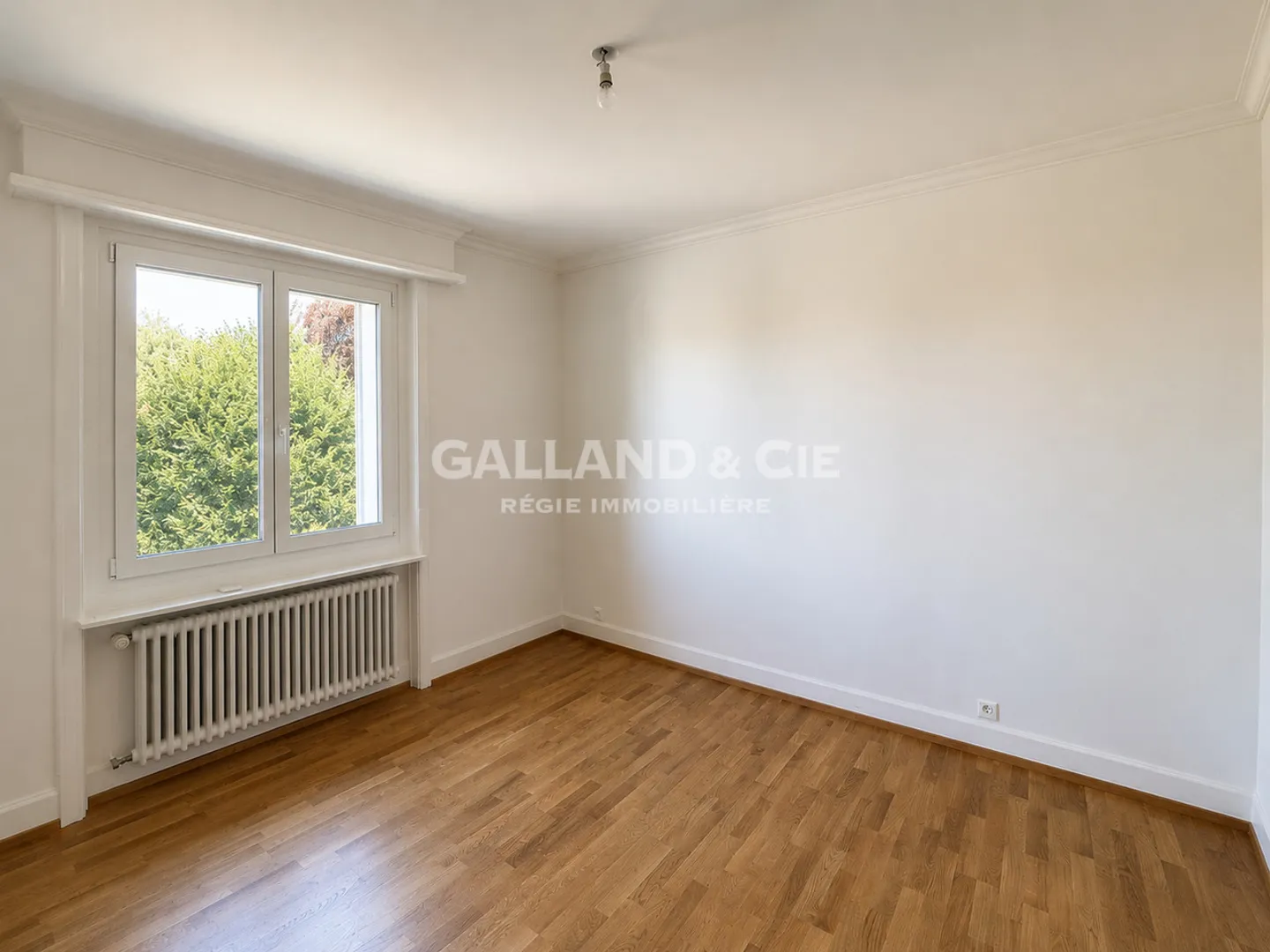 Superbe Appartement en Attique à Pully - Photo 4 sur 6