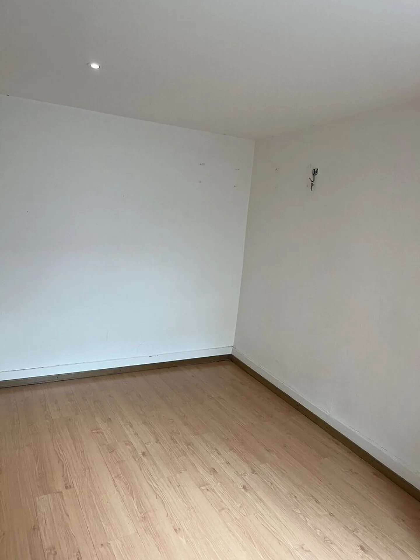 Unique Opportunity! Beautiful Studio in a Quiet Neighborhood! - Photo 4 of 5