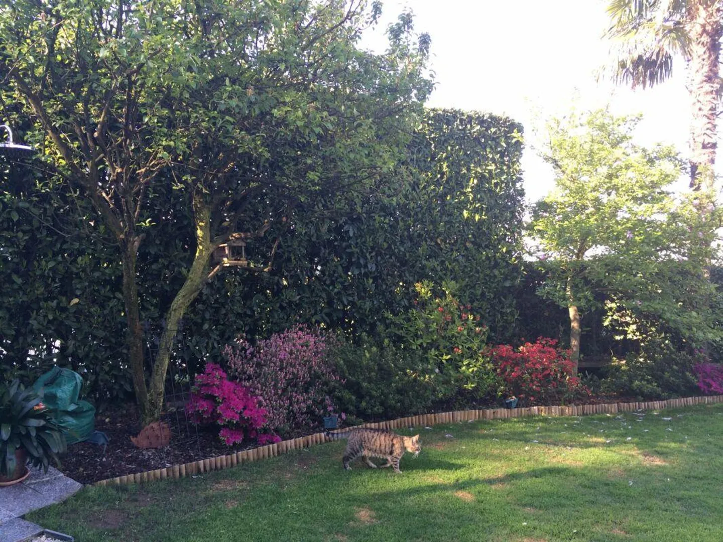 COMANO · ELEGANT APARTMENT WITH SPACIOUS LIVING AREA · PRIVATE GARDEN AND POOL - Photo 13 of 14