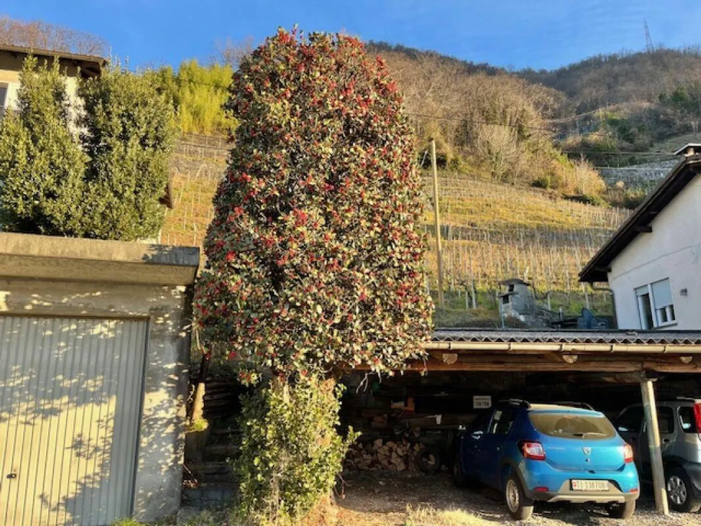 IN VENDITA A LAVERTEZZO - TERRENO EDIFICABILE CON VISTA SUL MAGADINO... - Foto 5 di 6
