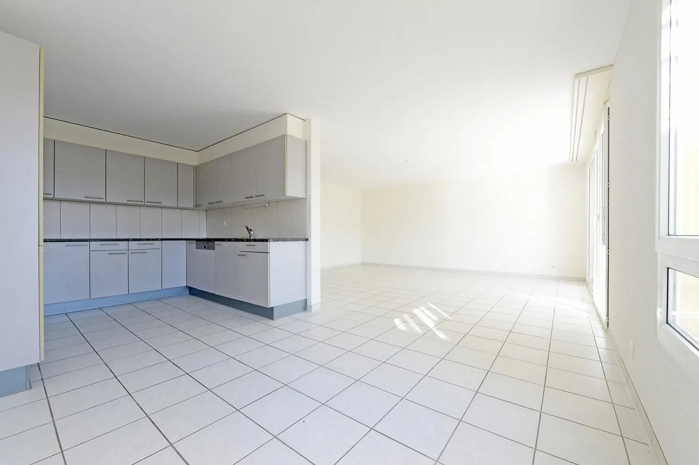 Charming 4.5 rooms in a very family-friendly neighborhood - Photo 5 of 13