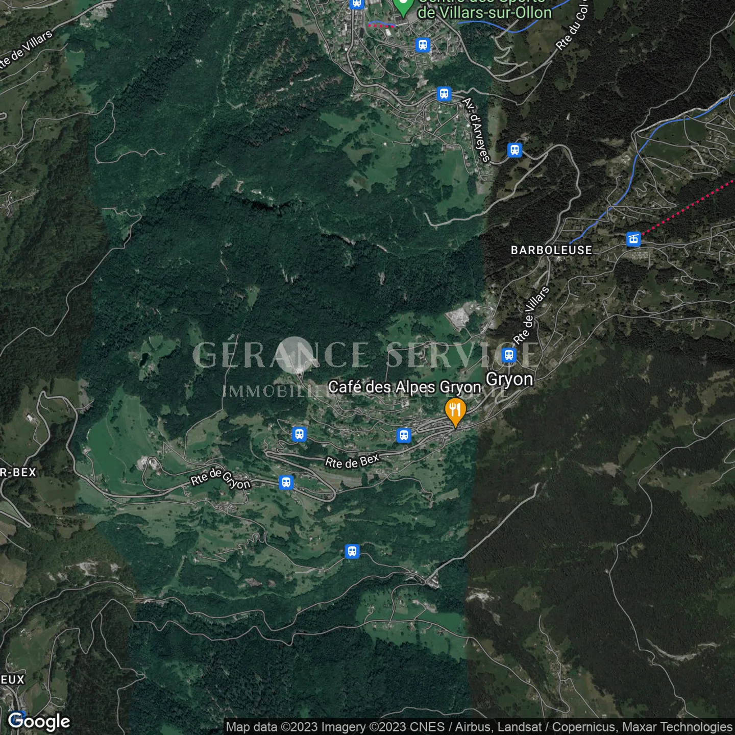 In Paradise - Photo 23 of 25