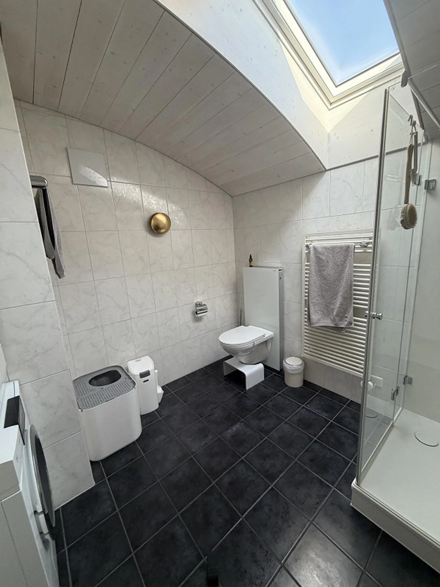 Exclusive Maisonette Living Experience in Maienfeld – 4.5 Rooms - Photo 6 of 28