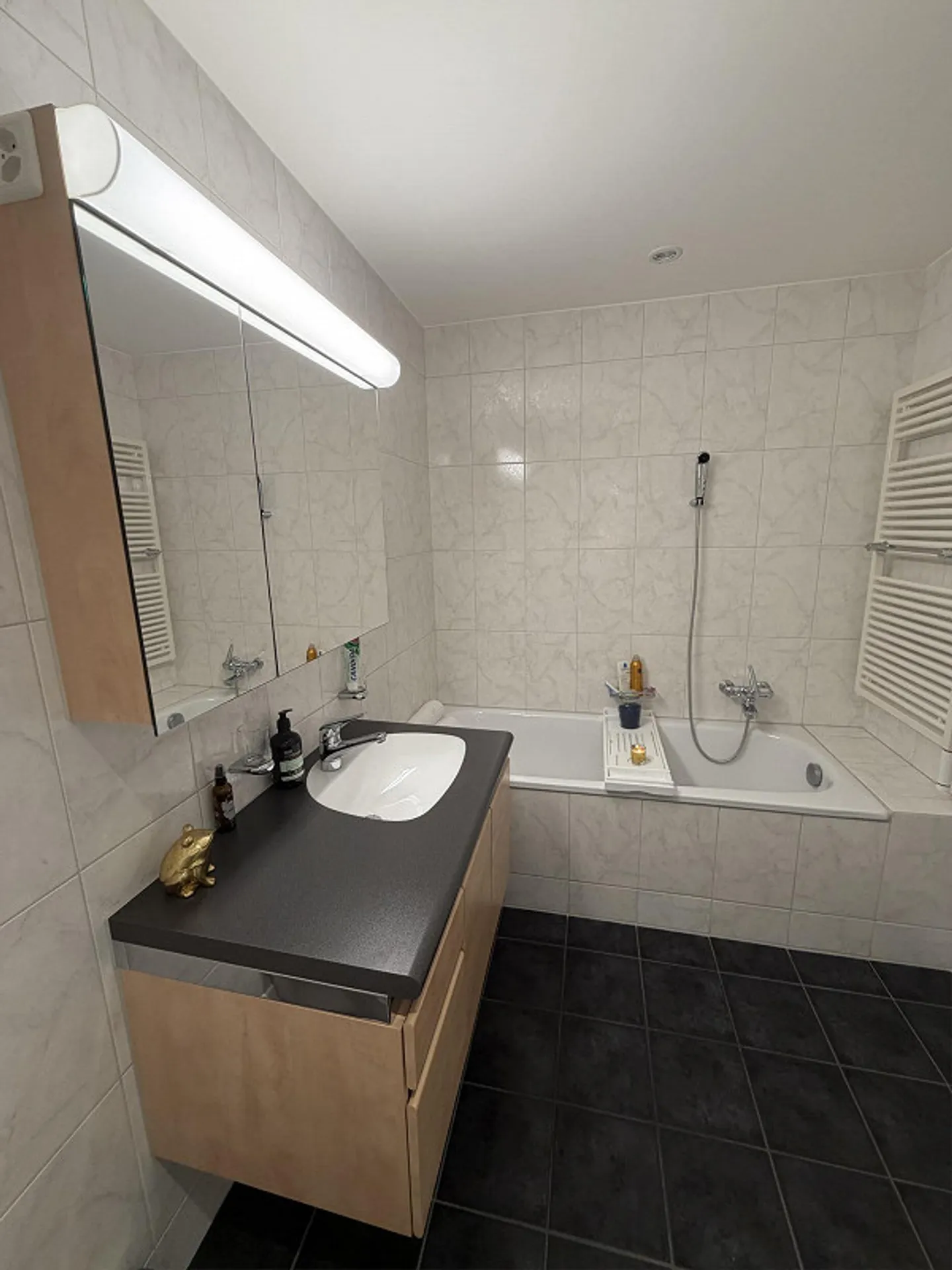 Exclusive Maisonette Living Experience in Maienfeld – 4.5 Rooms - Photo 18 of 28