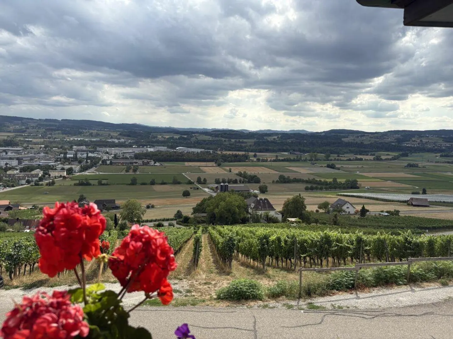 Wohnen mit Weitblick - charmante 2-Zimmer-Wohnung am Ottoberg - Foto 1 di 10