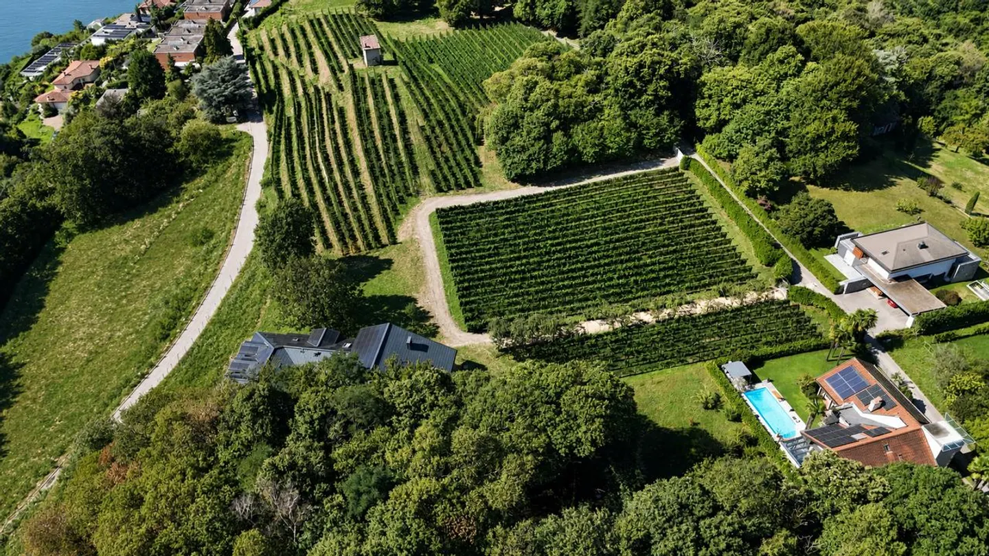 Exklusive Villa Umgeben von Weinbergen mit Offener Sicht auf den See - Foto 6 von 6