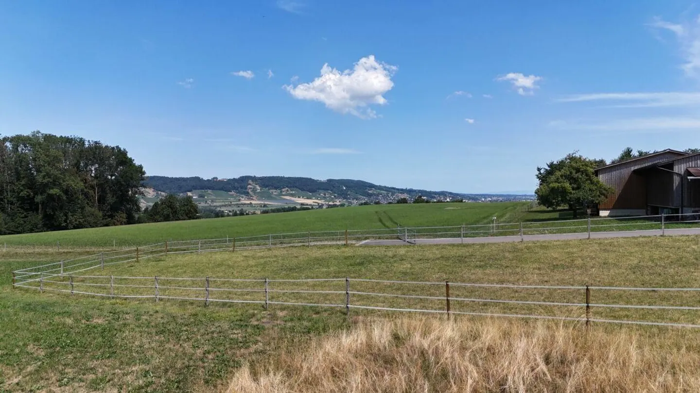 Neubau 5.5-Zi.-Doppeleinfamilienhaus an erhöhter Wohnlage mit Weits... - Foto 1 di 12